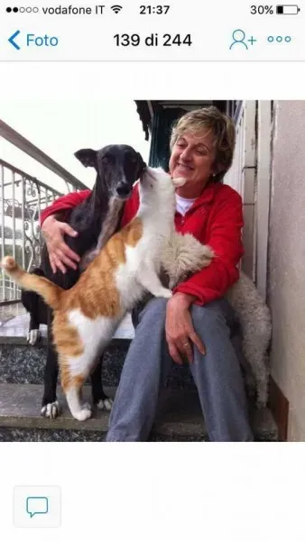 16603052 1268562806560905 2514901322195548592 n