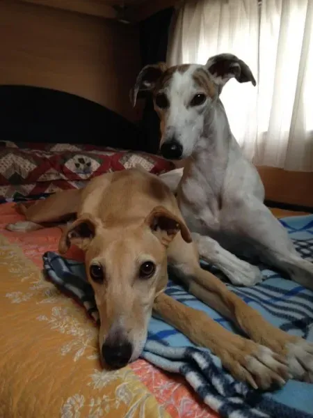 166046 10205767206161366 8325215045672297315 n