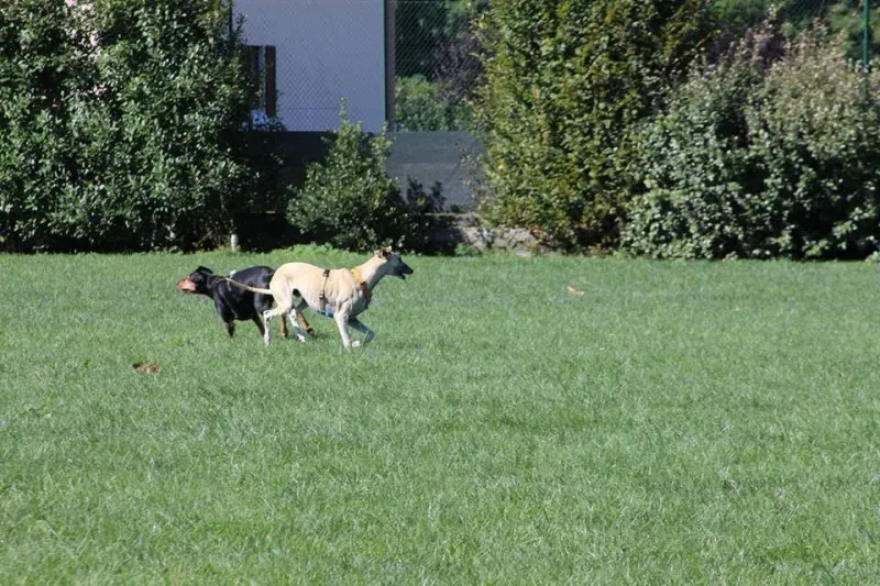 1660628 886801684737021 4594089125186944754 n