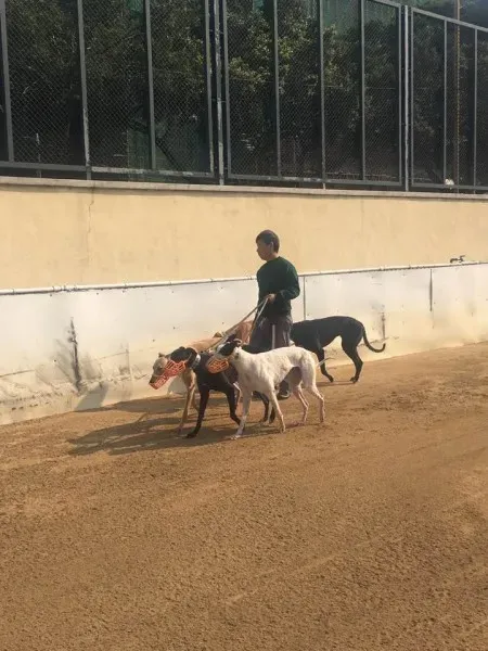 16640568 1041277202673642 5332777309168640821 n