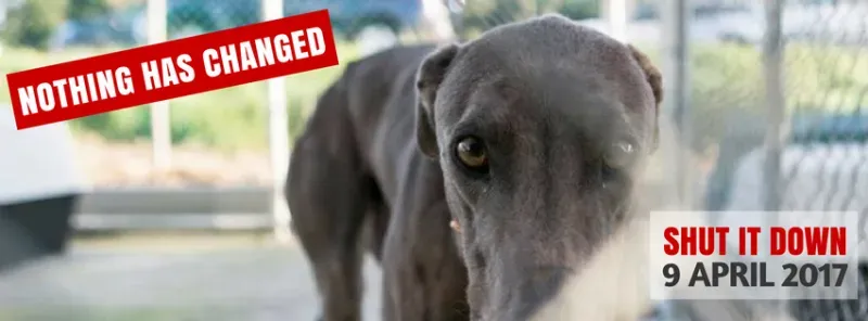 16640626 1625510467756687 2553957861853904867 n 1