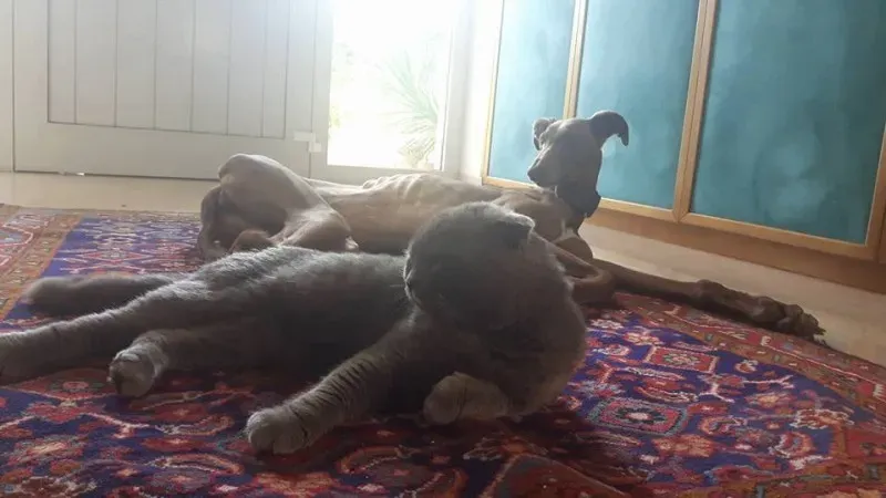 16640877 1278261435591042 7510628284810628508 n