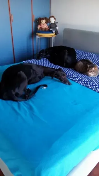 16640937 1267963116620874 3036215819905371860 n