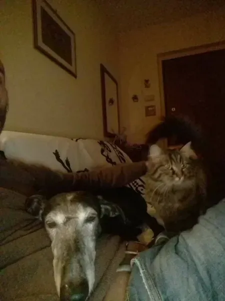 16641036 1268562986560887 7330266769555868374 n