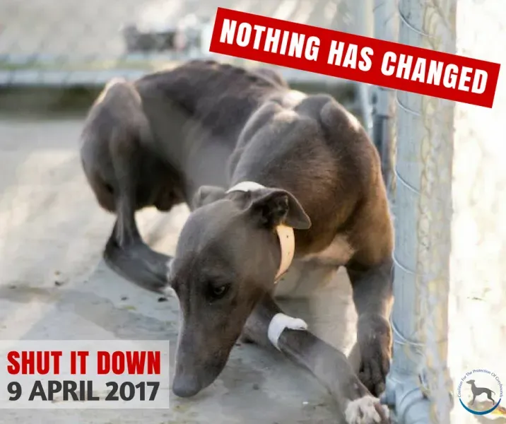 16649186 1629819207325813 89998487724278516 n