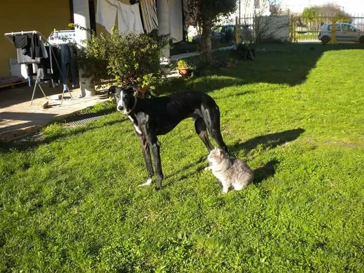 16649304 1276324699118049 8280495903644752133 n