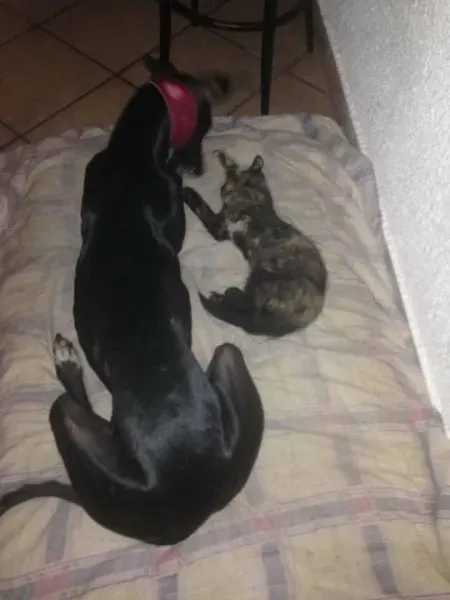 16649462 1276324722451380 3978719024214998415 n