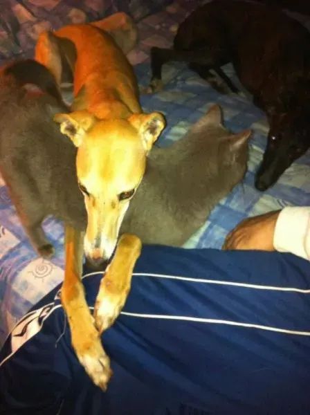 16649537 1268562546560931 6386915761726587637 n