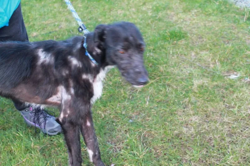 16664938 1547966065221087 7145280545267930199 o