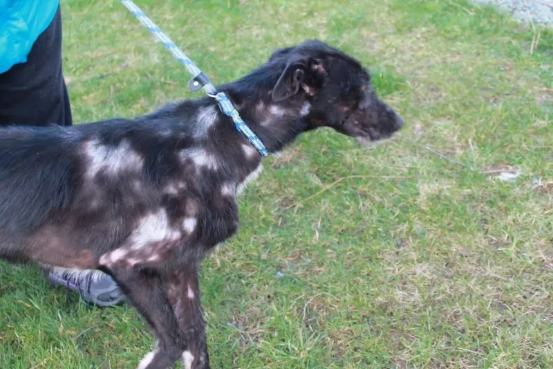 16665158 1547966231887737 6521978034886791300 o