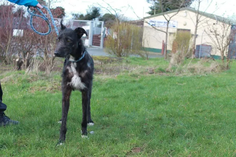 16665266 1547966348554392 7627479811562241346 o