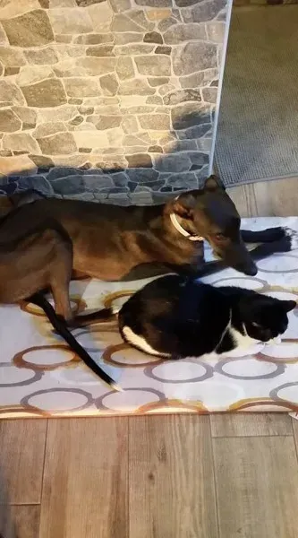 16681629 1267963123287540 7257999748751935421 n