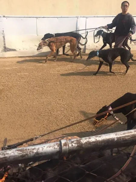 16681894 1041276472673715 5943322915176681772 n