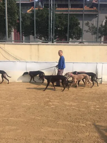 16681998 1041276349340394 5881708097115691244 n