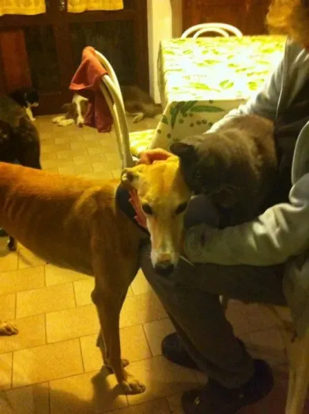 16684157 1268562936560892 2486620910061964641 n