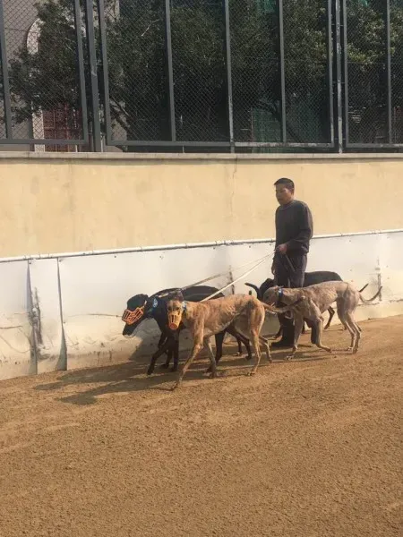 16684166 1041276416007054 6589099989436681963 n