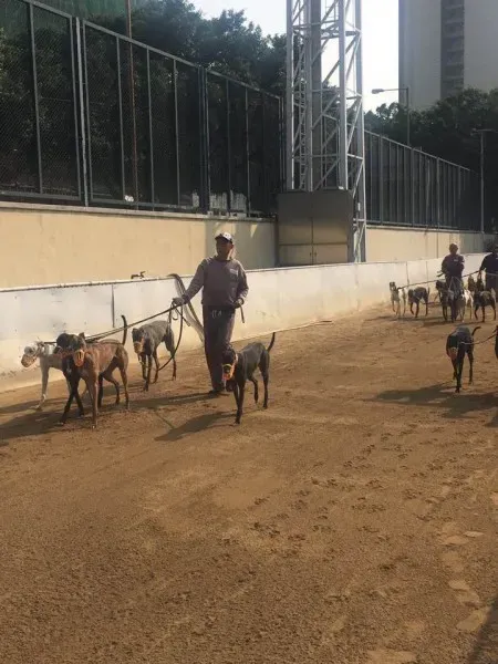 16684185 1041276769340352 8777517025311613526 n