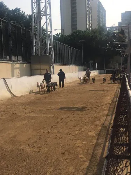 16708254 1041277232673639 2742256858780132007 n