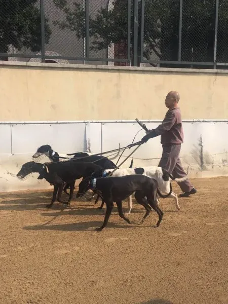 16708331 1041277432673619 4242893295378059049 n