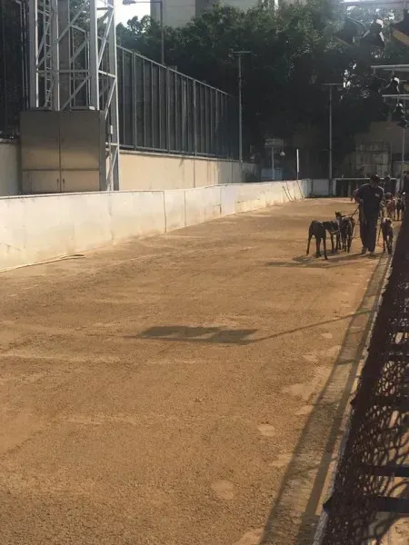 16708440 1041276549340374 8509359122211600026 n