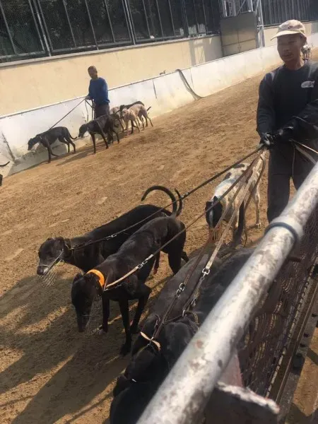 16712018 1041277052673657 833821678377476279 n