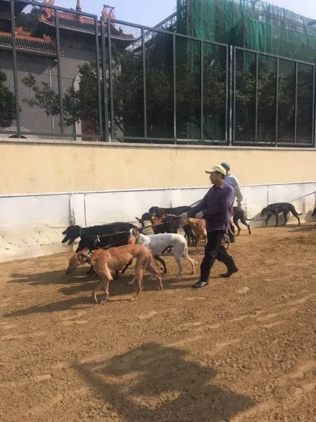 16729161 1041277266006969 4893566618962469104 n