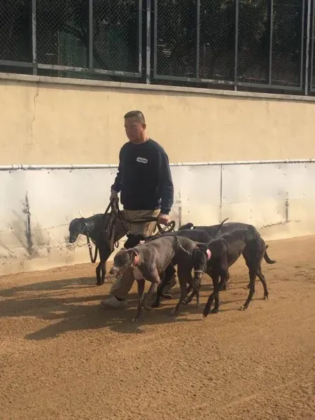 16729244 1041276312673731 4684747064584296993 n