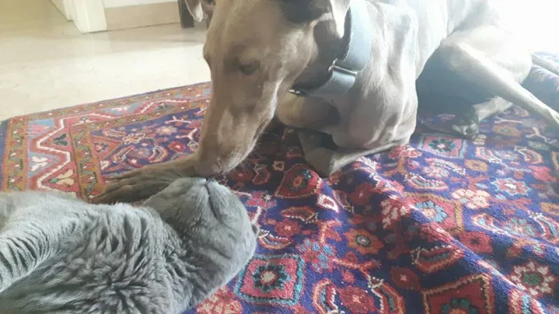 16831086 1278261442257708 2644766796733949028 n