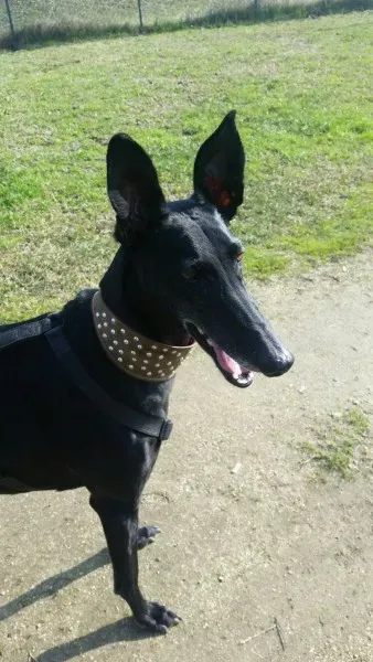 16836002 10211978652171915 7670814357581074851 o