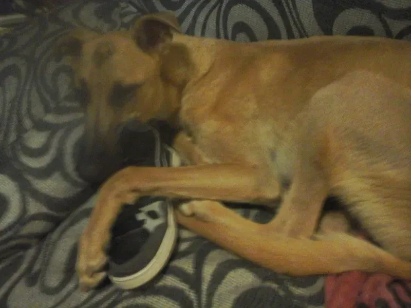 16894 582101261925102 7107496518131385659 n