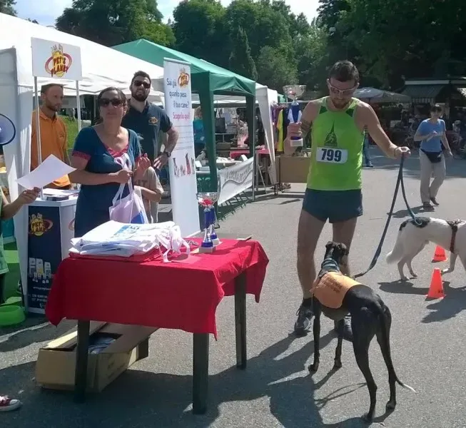 16909 912401905487502 8244864692337687177 n1