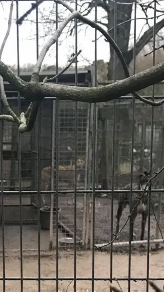 16939026 10210599220449242 6709454528687803236 n