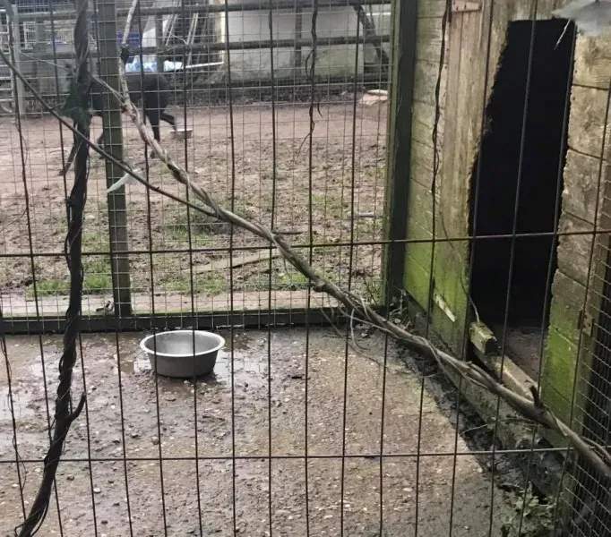 16939031 10210599223089308 5684443091378218357 n