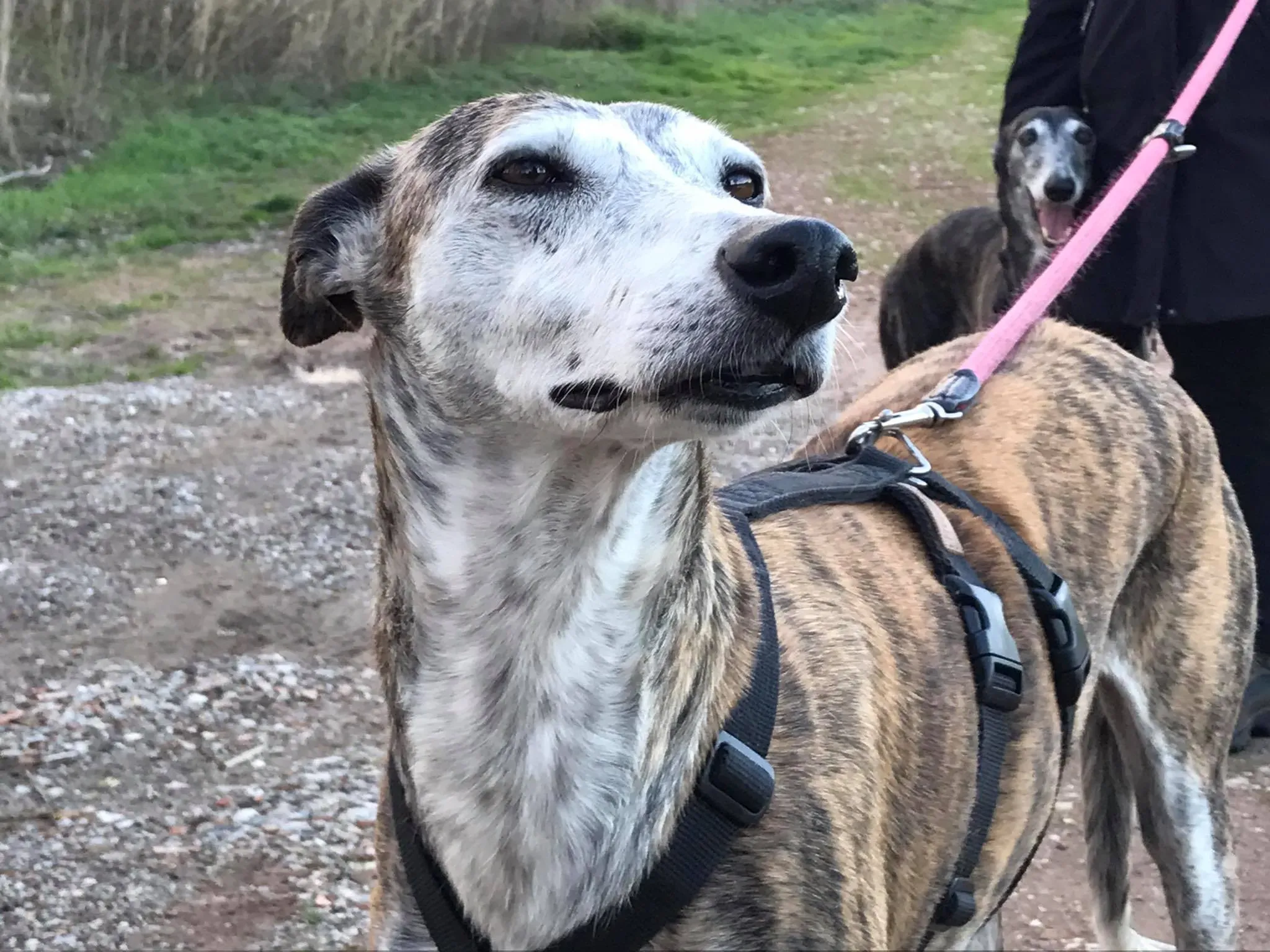 16992104 396113890760782 4543057208637473035 o