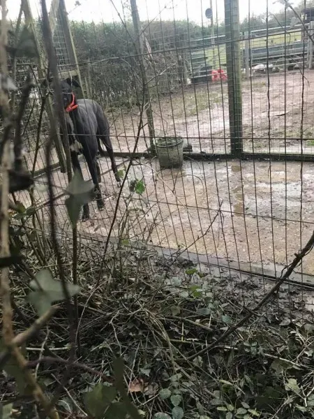 16998039 10210599221289263 8978546522779620927 n