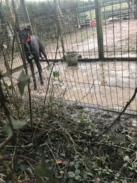 16998789 10210599222329289 4702508673499453724 n