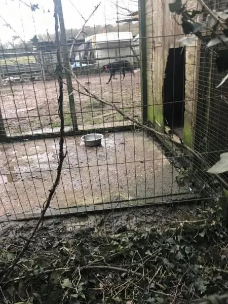 16999065 10210599222729299 5779404962225116092 n