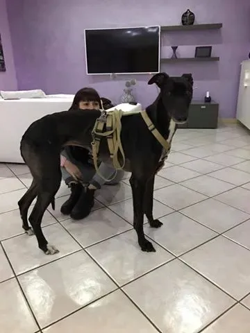 16999173 1301474186610848 5532541950123456365 n