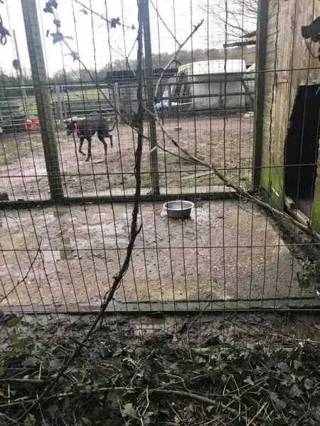 16999190 10210599221729274 2793967614891671310 n