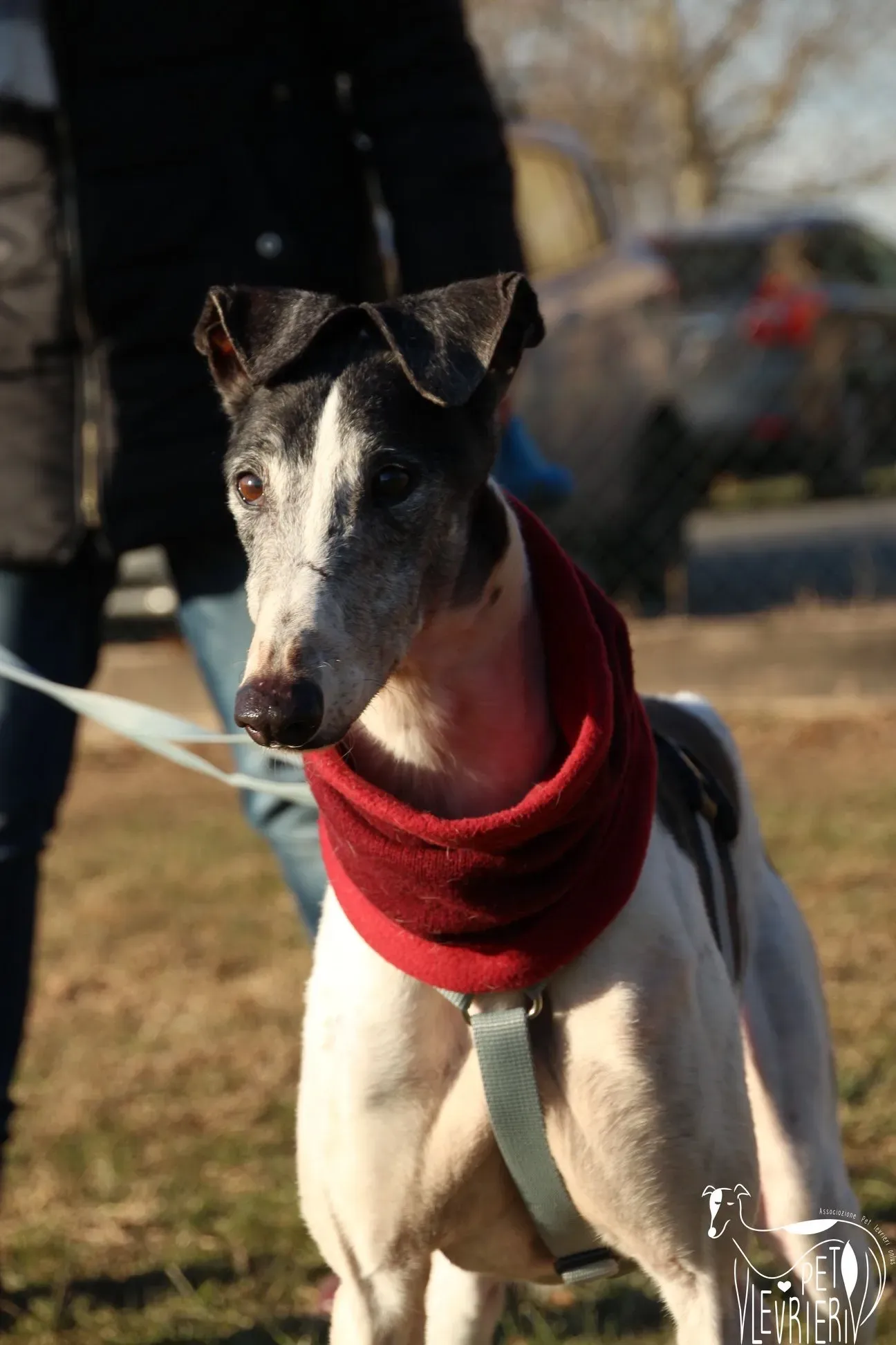 16F28B3E F0F2 4573 921B 1A51373CDA84