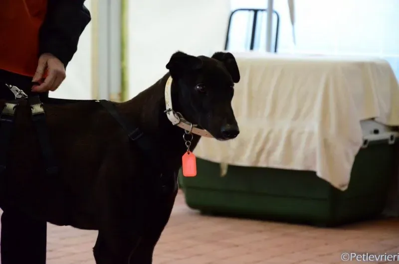 17017230 1291029770980875 7033170711024374683 o