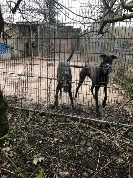 17021943 10210599223849327 5240792760524839873 n