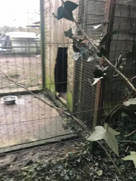 17022235 10210599221929279 2326471459254642180 n