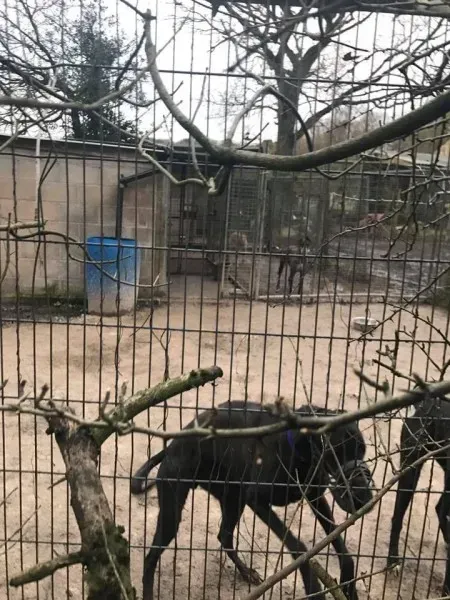 17022328 10210599223929329 5332541774376901260 n