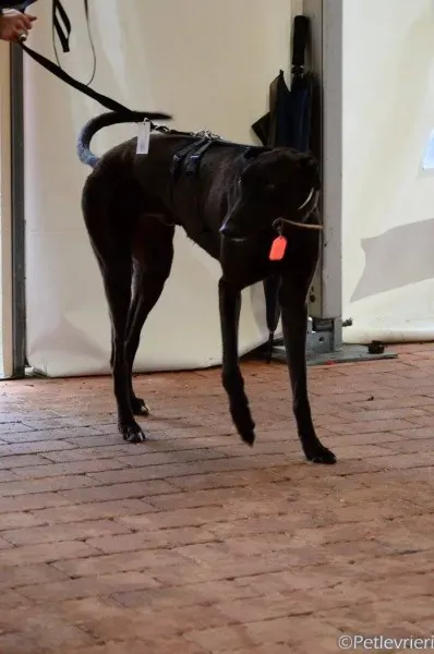 17038610 1291029694314216 2532324007733768348 o