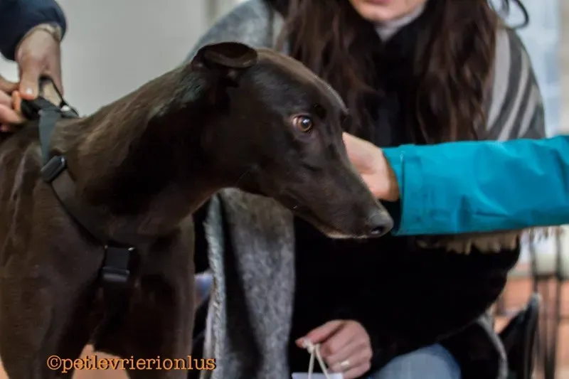 17038834 1291329987617520 2716500107747570483 o