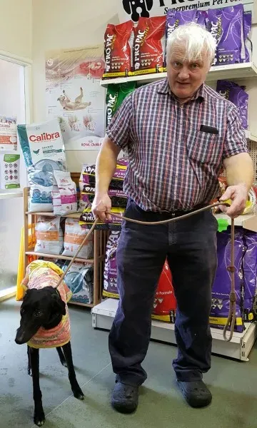 17039413 1579980115353015 8796050614916999028 o