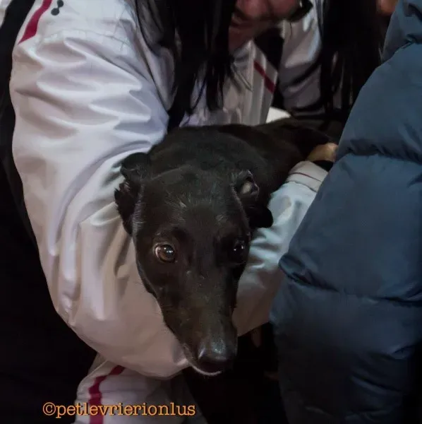 17097458 1291327140951138 8539291273506326842 o