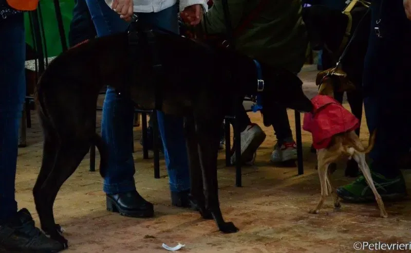 17097713 1291037014313484 8992302102319039418 o