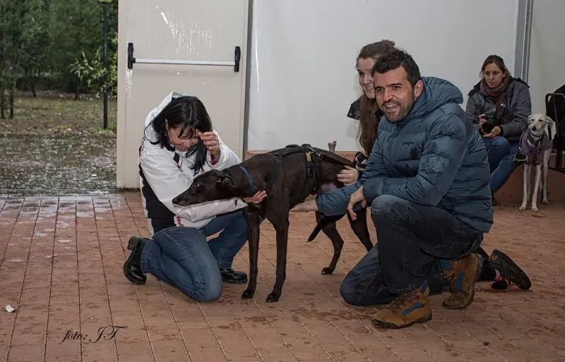 17097937 1285083711561029 1516379152706714152 o